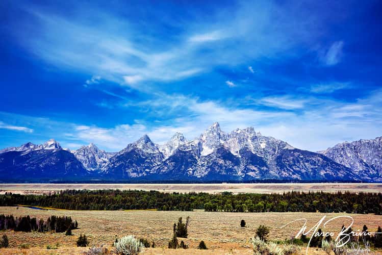 Grand Teton Viewpoint