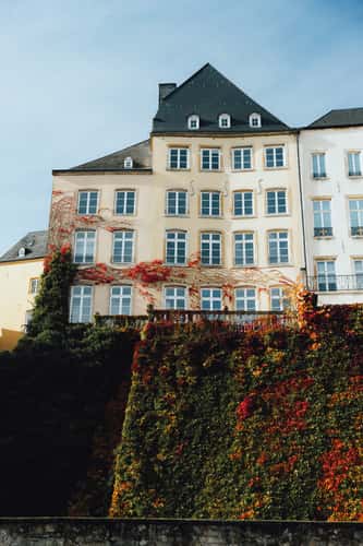 Historic house with ivy, Luxembourg City