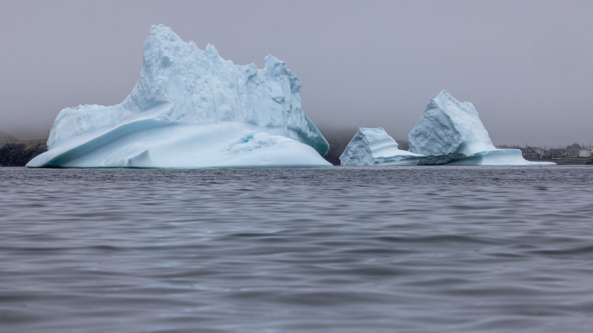 Icebergs in Wild cove beach, Canada
