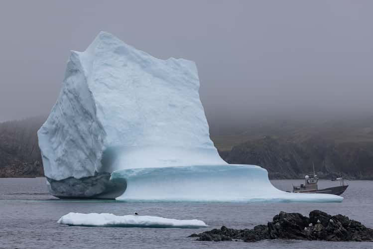 Icebergs in Wild cove beach