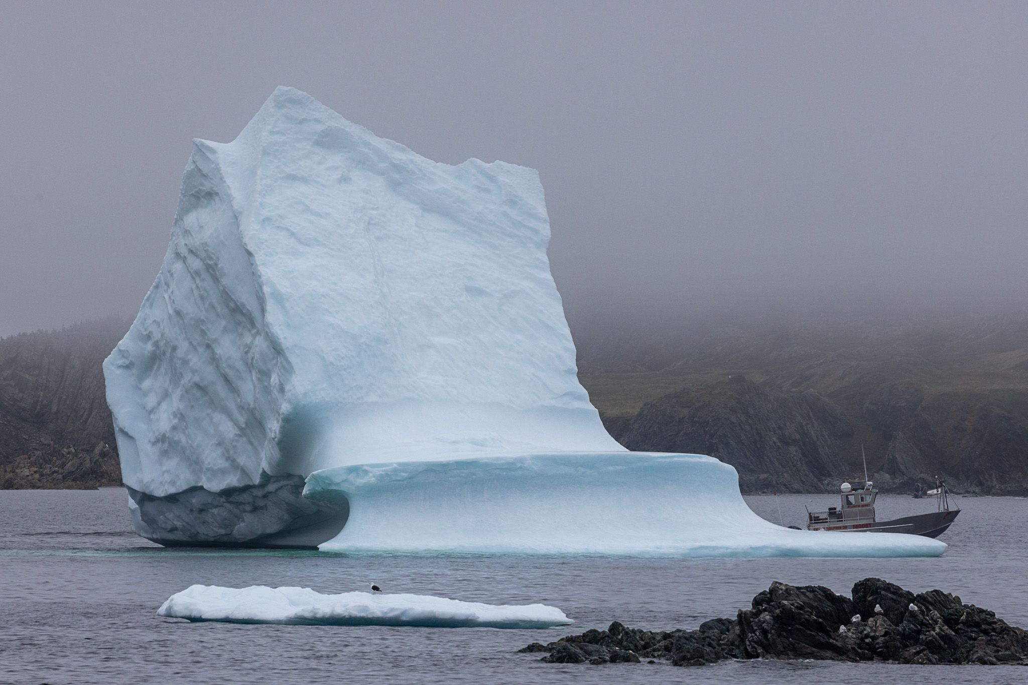Icebergs in Wild cove beach, Canada