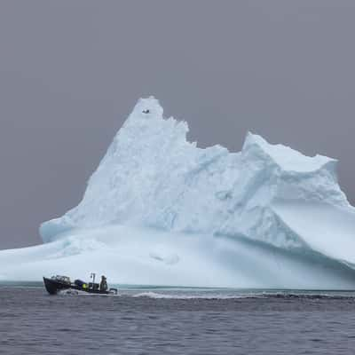 Icebergs in Wild cove beach, Canada