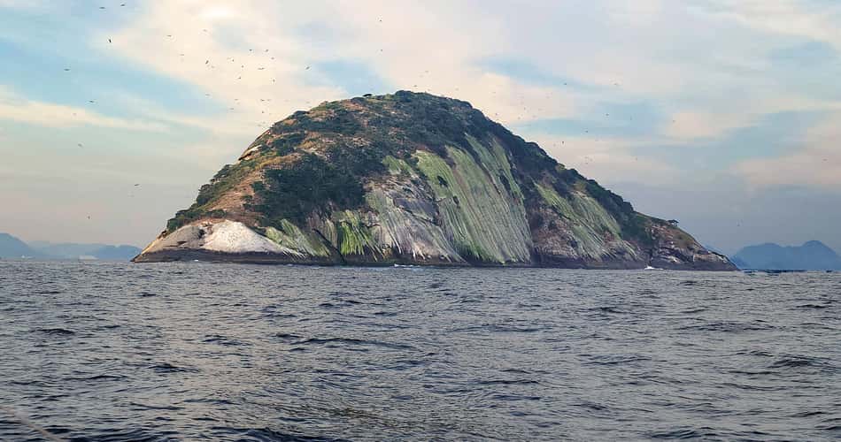 Ilha Cagarra