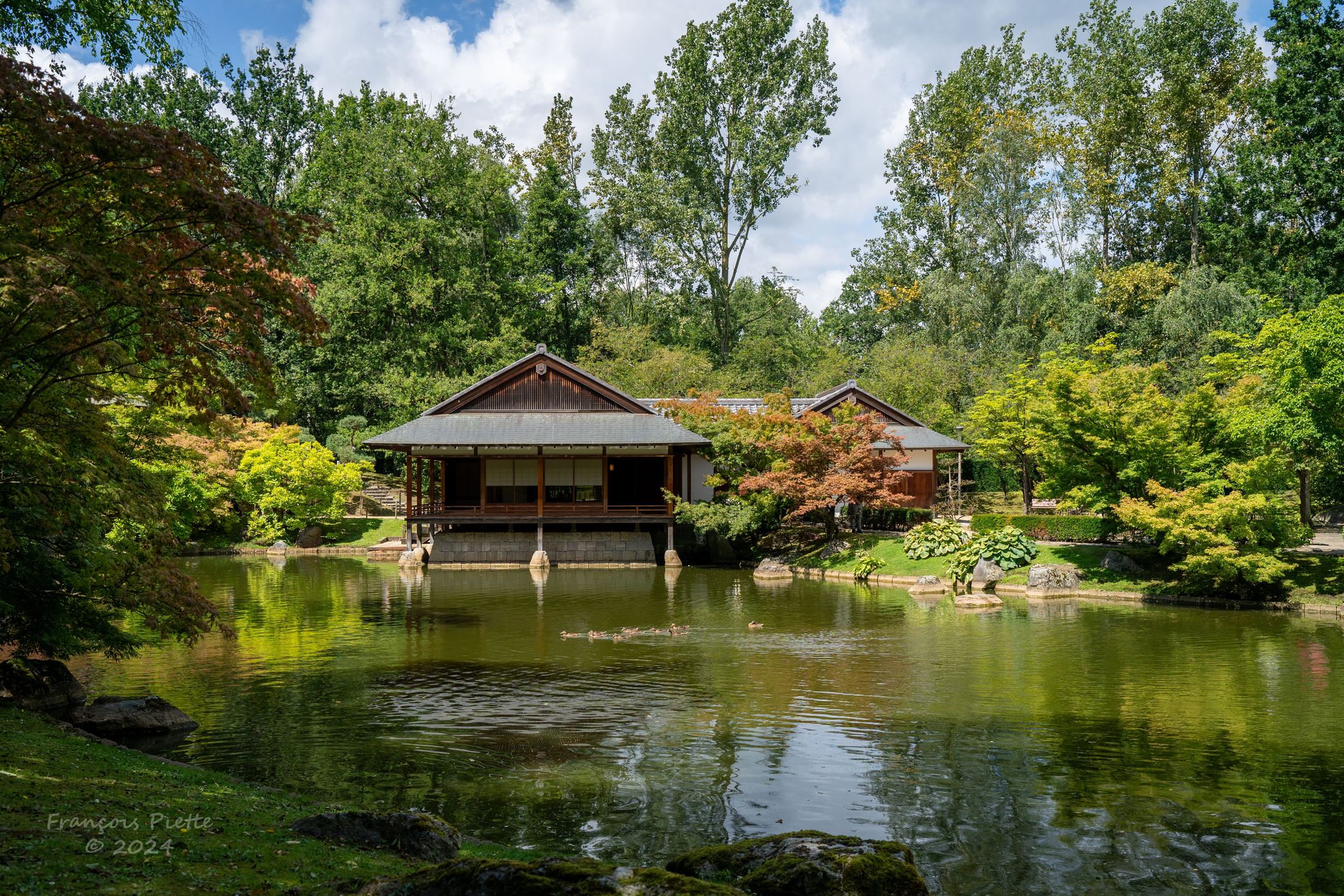 Japenese Garden/Japanse Tuin, Belgium