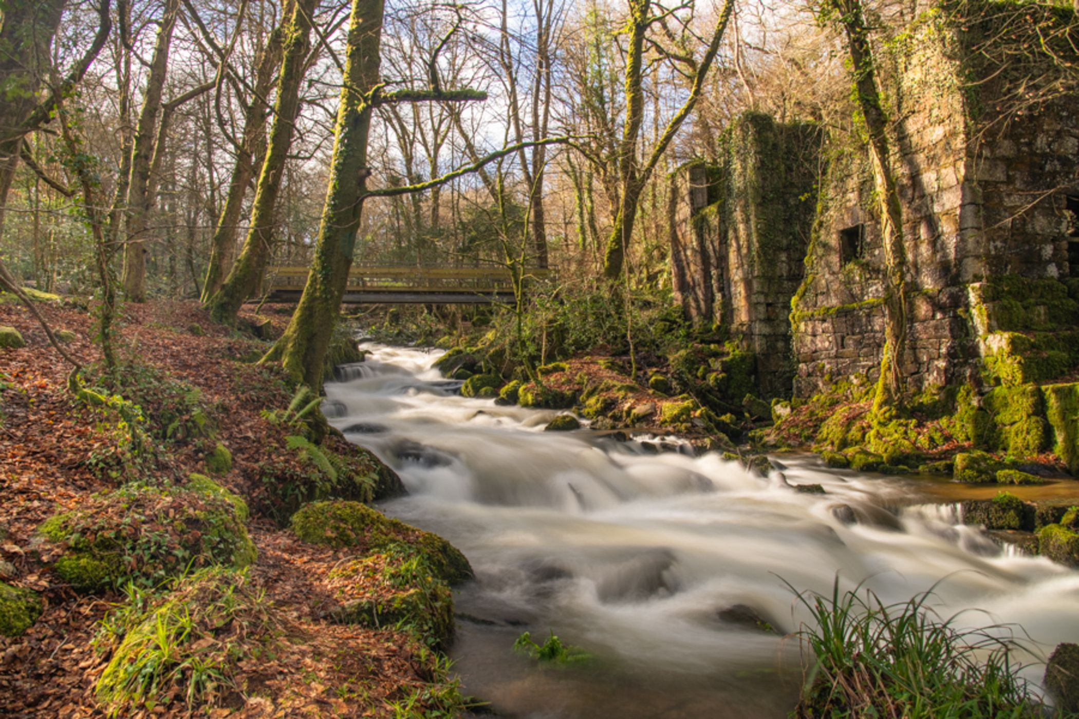 Kennall Vale Nature Reserve, United Kingdom