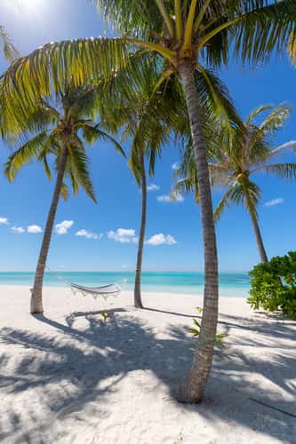 Kudahuvadhoo - Hotel Riu Atoll