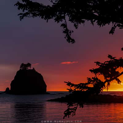 La Push First Beach, USA