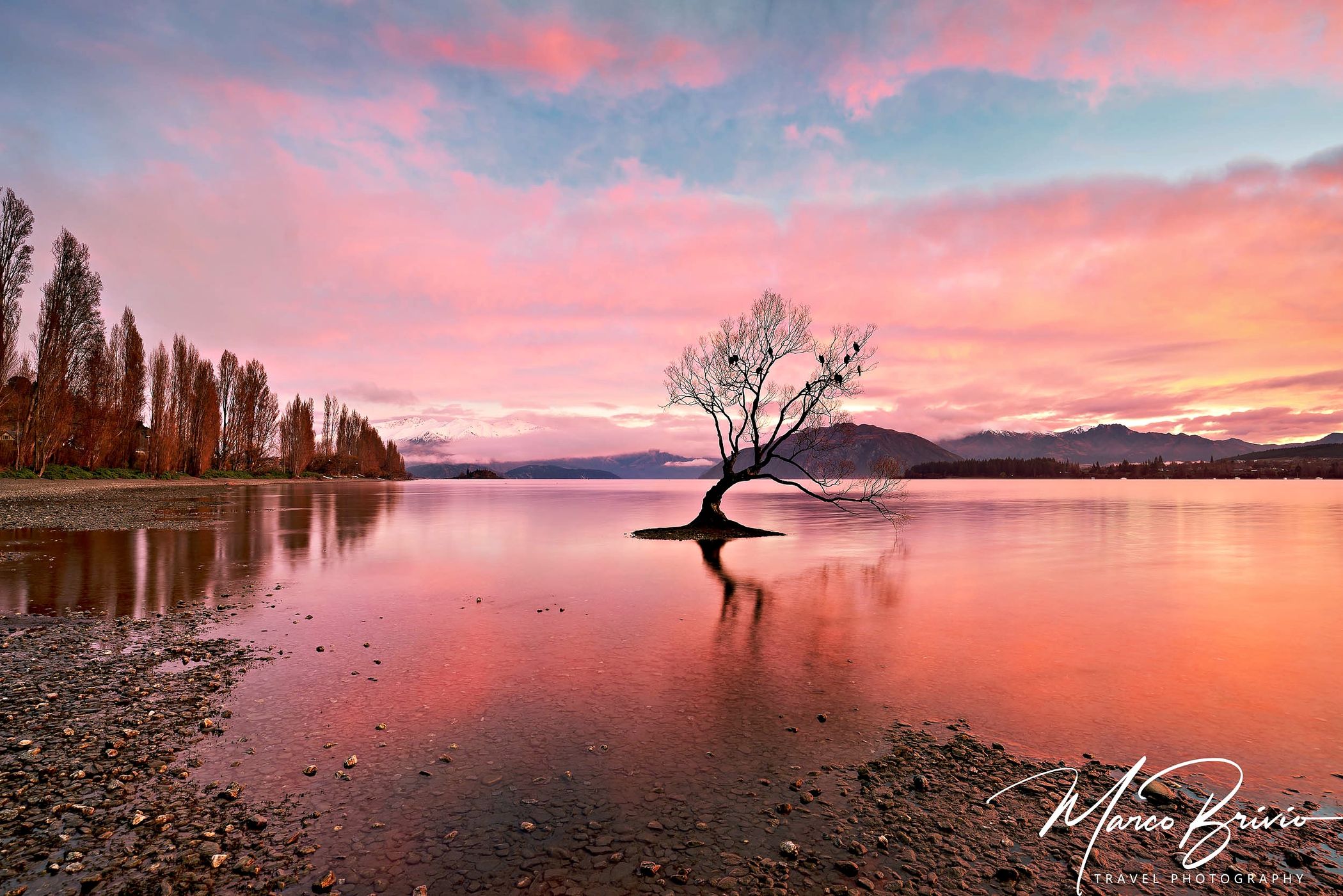 Lake Wanaka - The lonely Tree, New Zealand