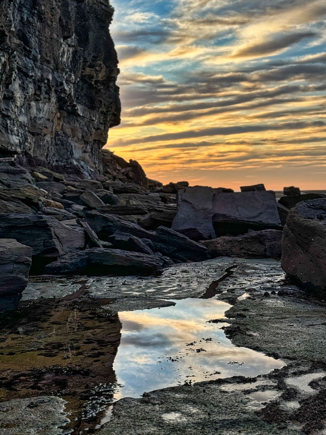 Mona Vale Headland, Bongin Bongin Beach, Mona Vale, Australia