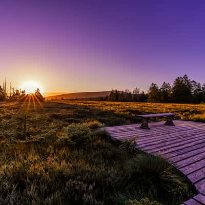 Moor entry, Germany
