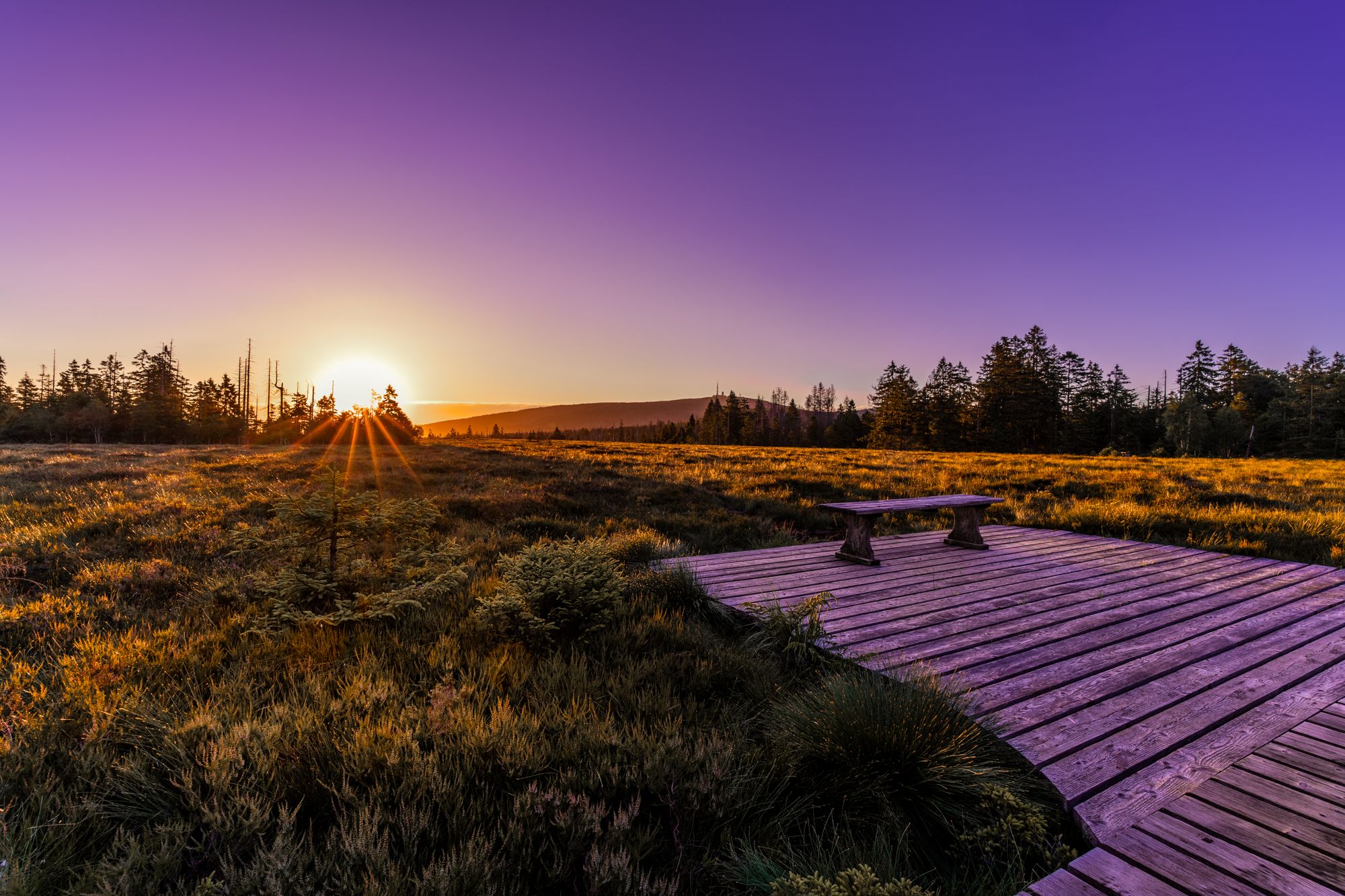 Moor entry, Germany