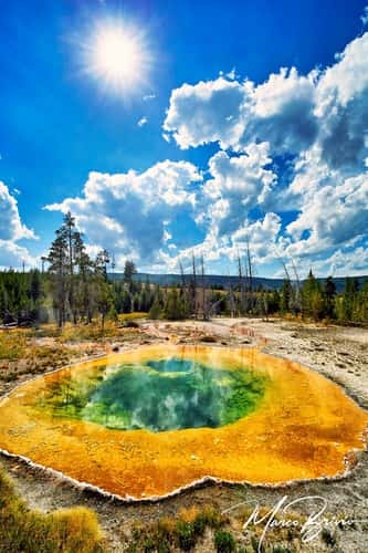 Morning Glory Pool, Yellowstone National Park