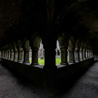 Moyne Abbey, Ireland