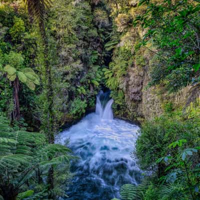 Okere Falls, North Island, New Zealand