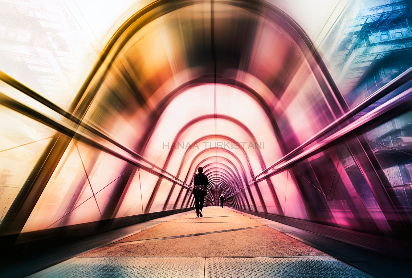 Japan Bridge - Pont d'art, Nanterre, Paris, France