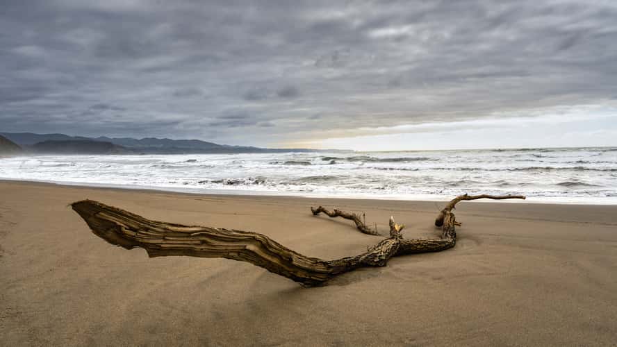 Playón de Bayas