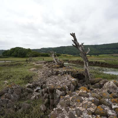 Porlock Marsh, United Kingdom