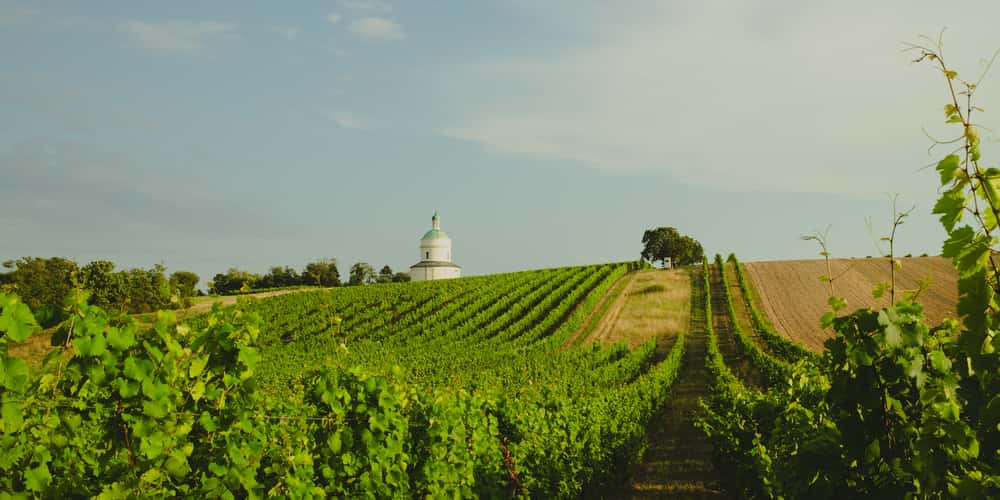 Rochuskapelle