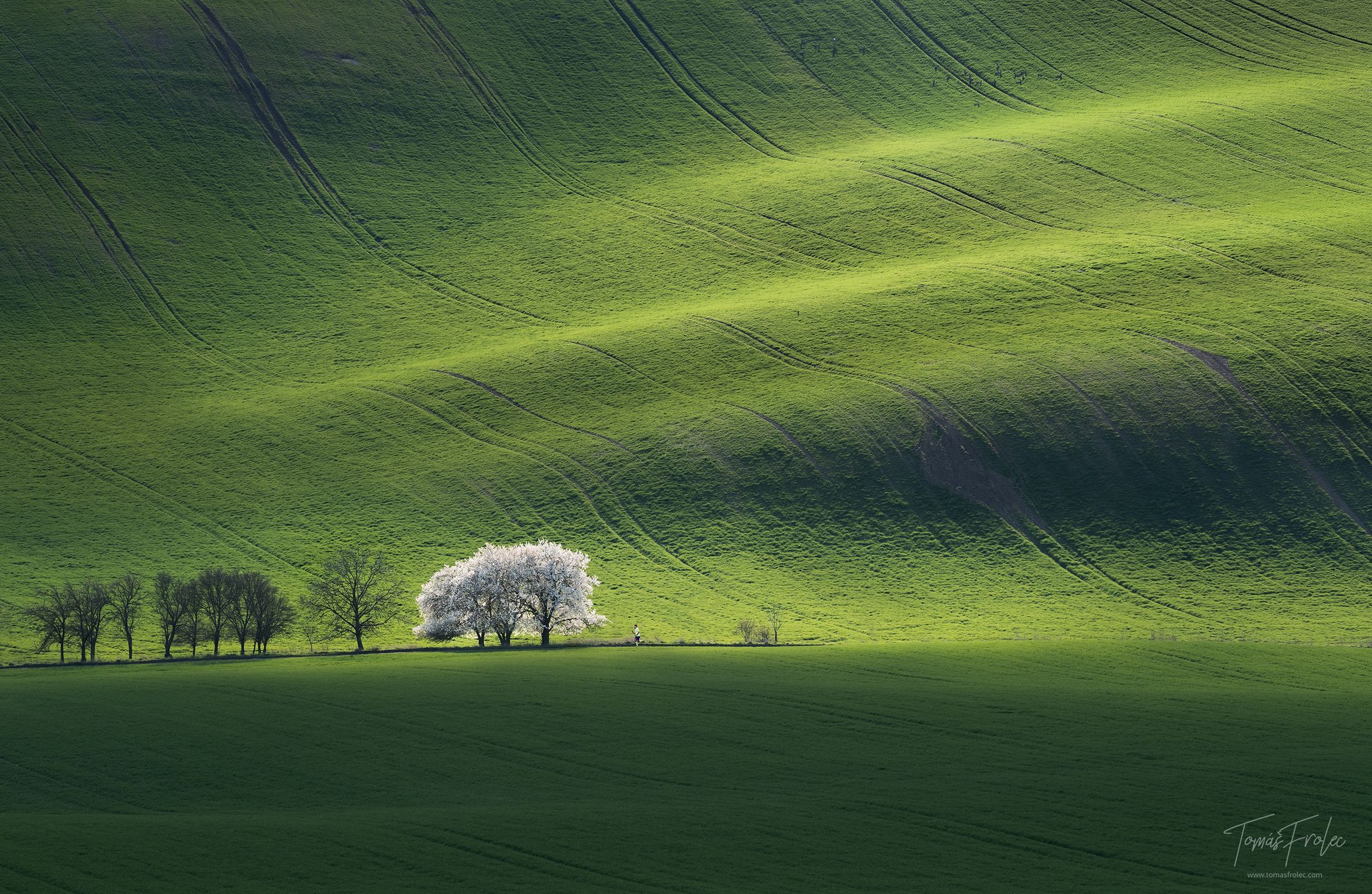 Rolling hills, Moravia, Czech Republic