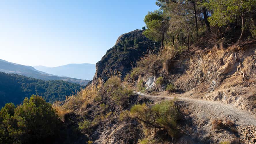 Ruta de los Pinos