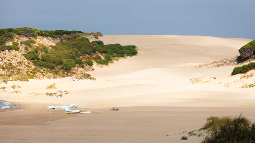 Sand Dunes at Bolonia