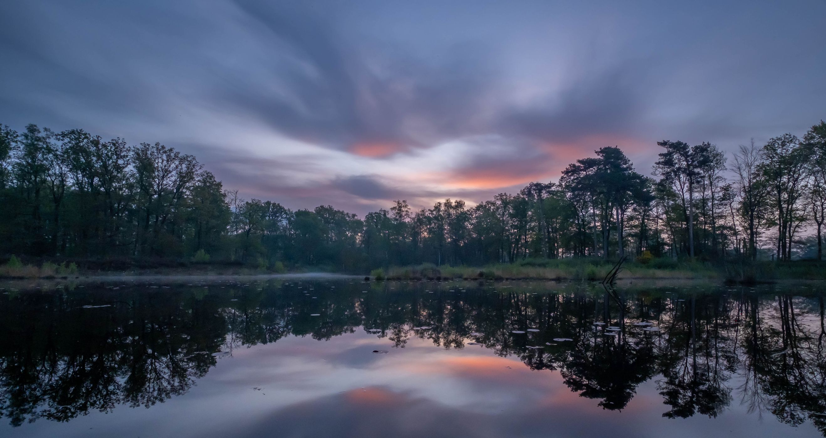 Small fen, Netherlands