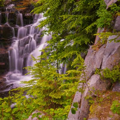 Sunbeam Creek, USA