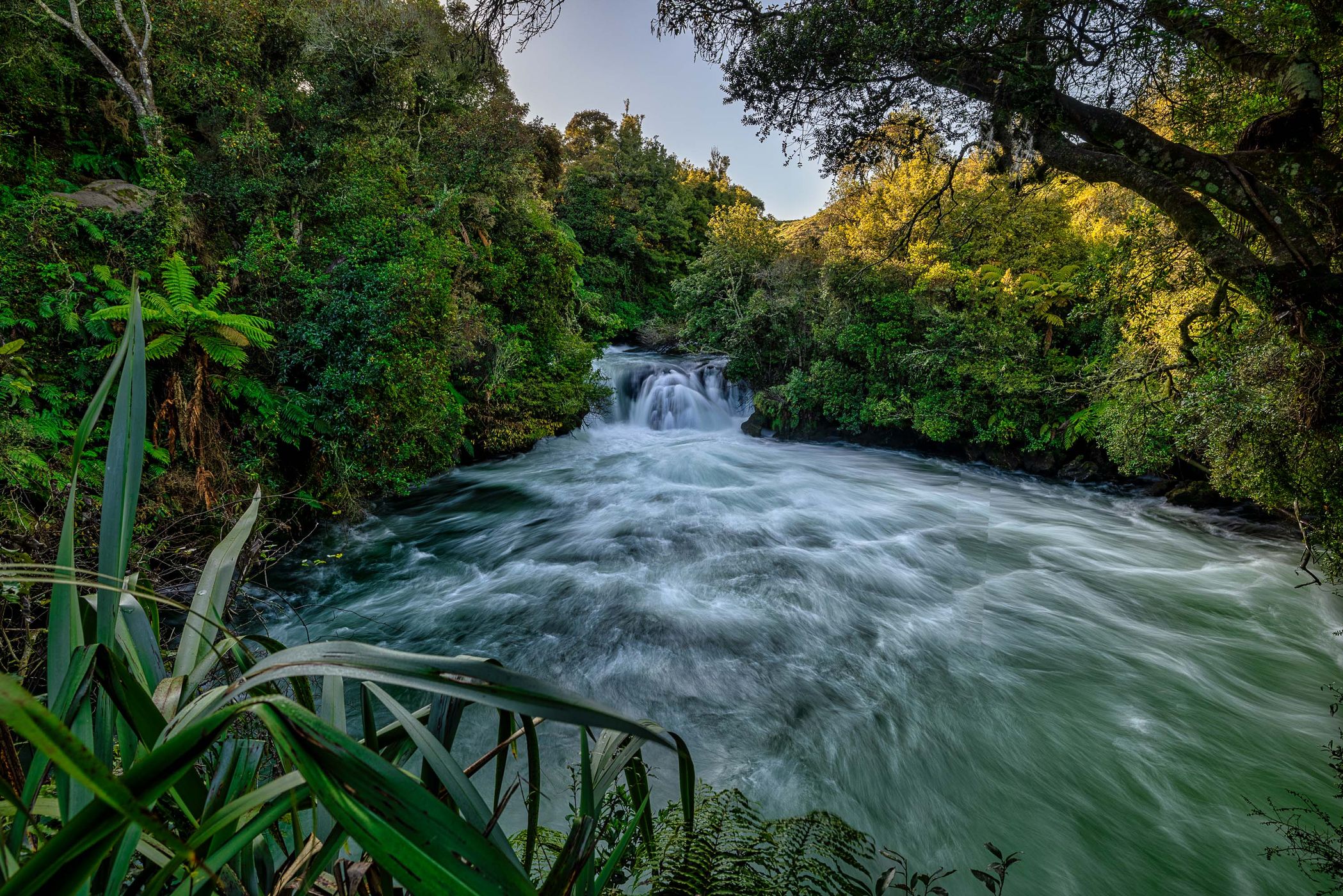 Trout Pool Falls, Okere, North Island, New Zealand