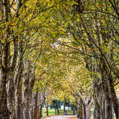 Waimarama Rd, Havelock North, North Island, New Zealand