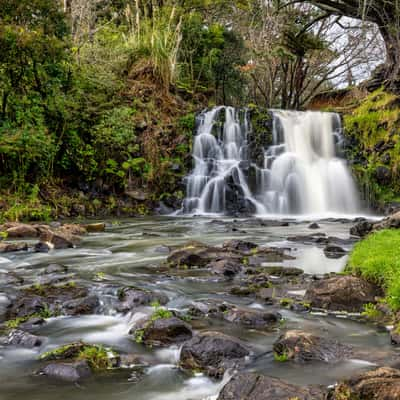 Waitangi Falls, Glenbrook, North Island, New Zealand