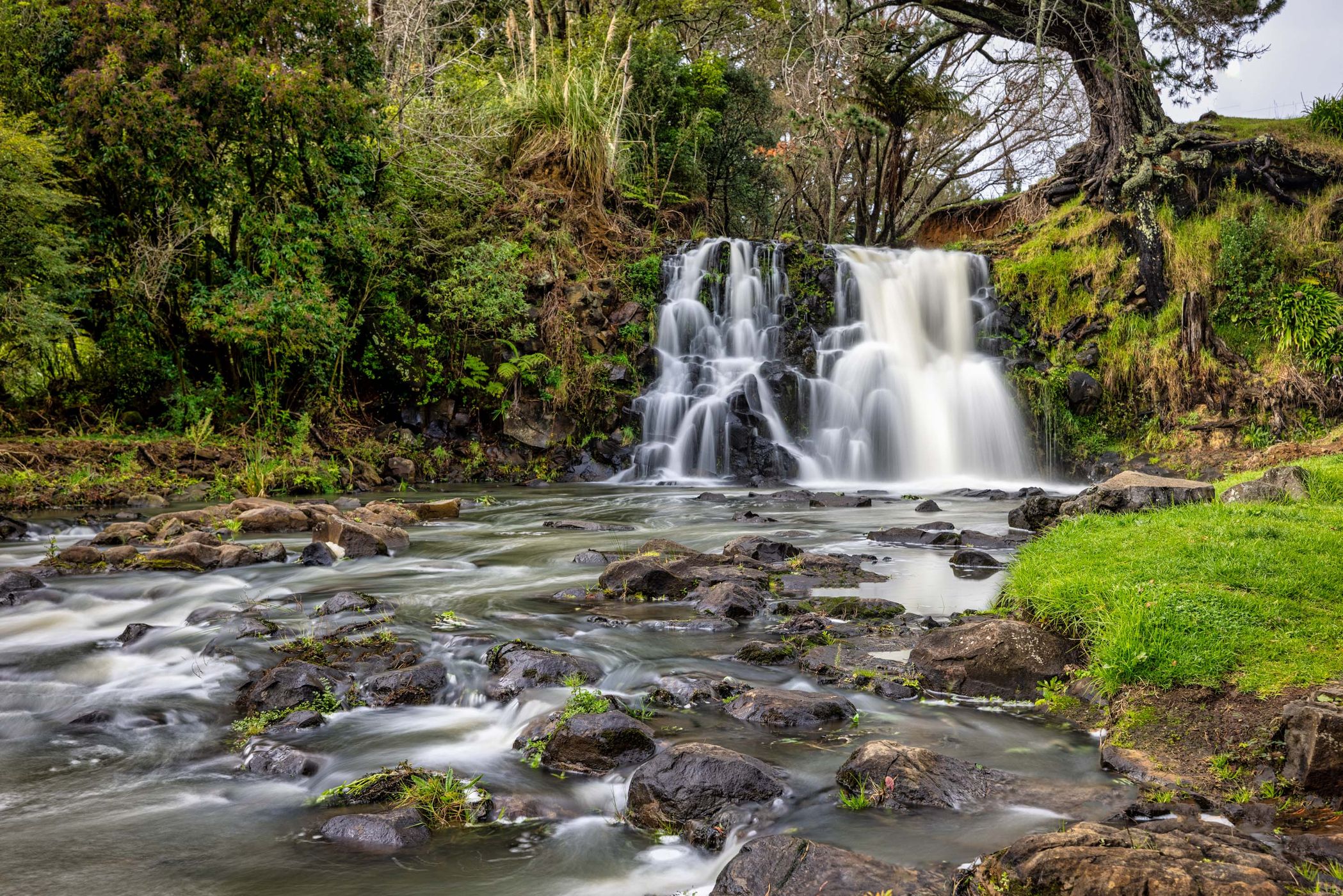 Waitangi Falls, Glenbrook, North Island, New Zealand