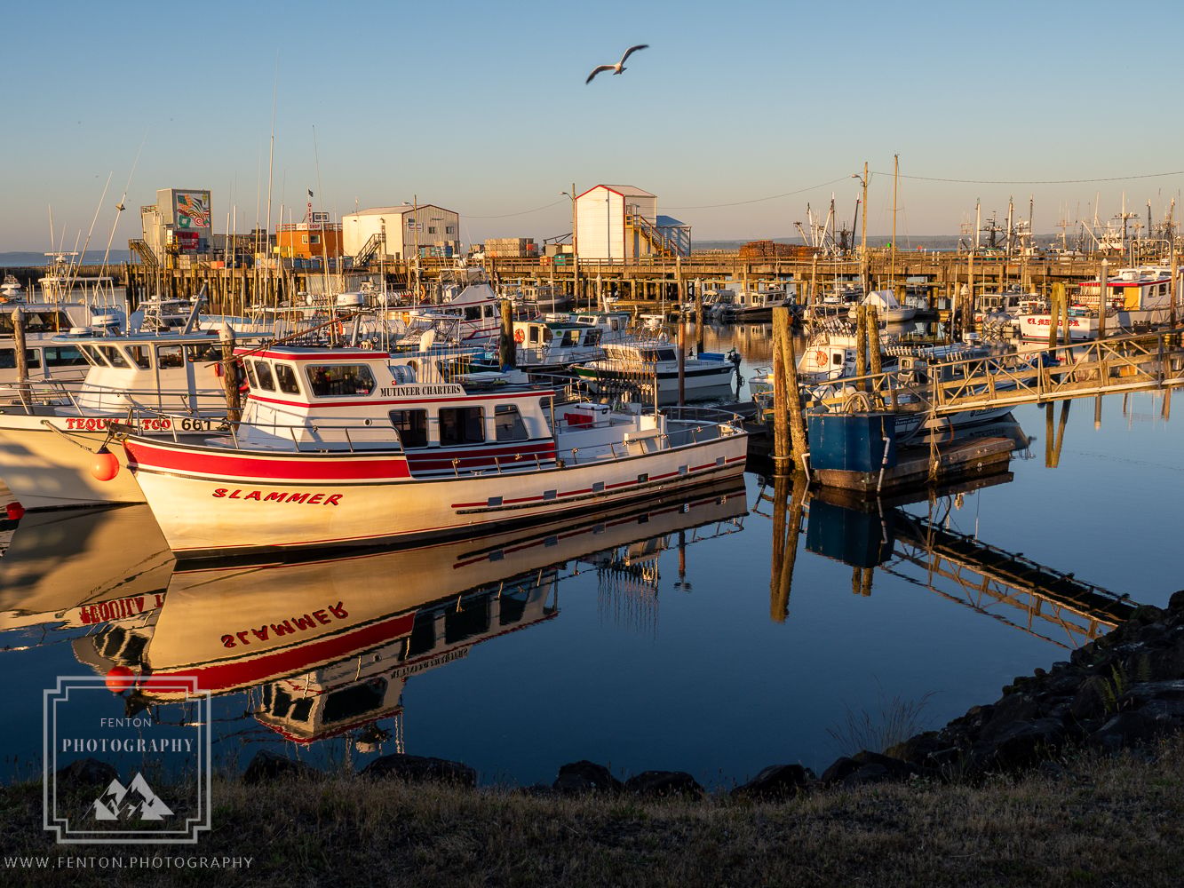 Westport Harbor Marina, USA