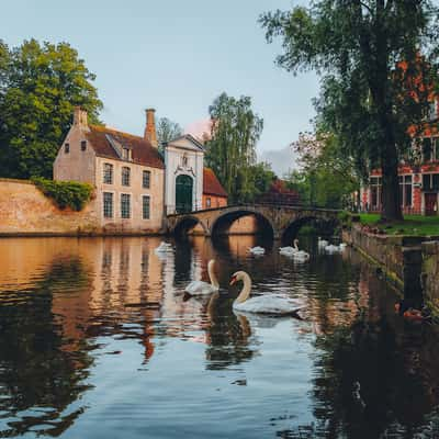 Wijngaardplein, Brugge, Belgium