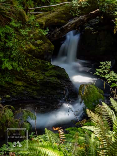 Willaby Creek Falls