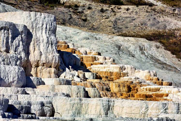 Yellowstone - Devils Thumb - Palette Spring