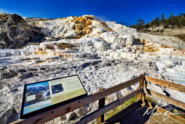 Yellowstone - Devils Thumb - Palette Spring