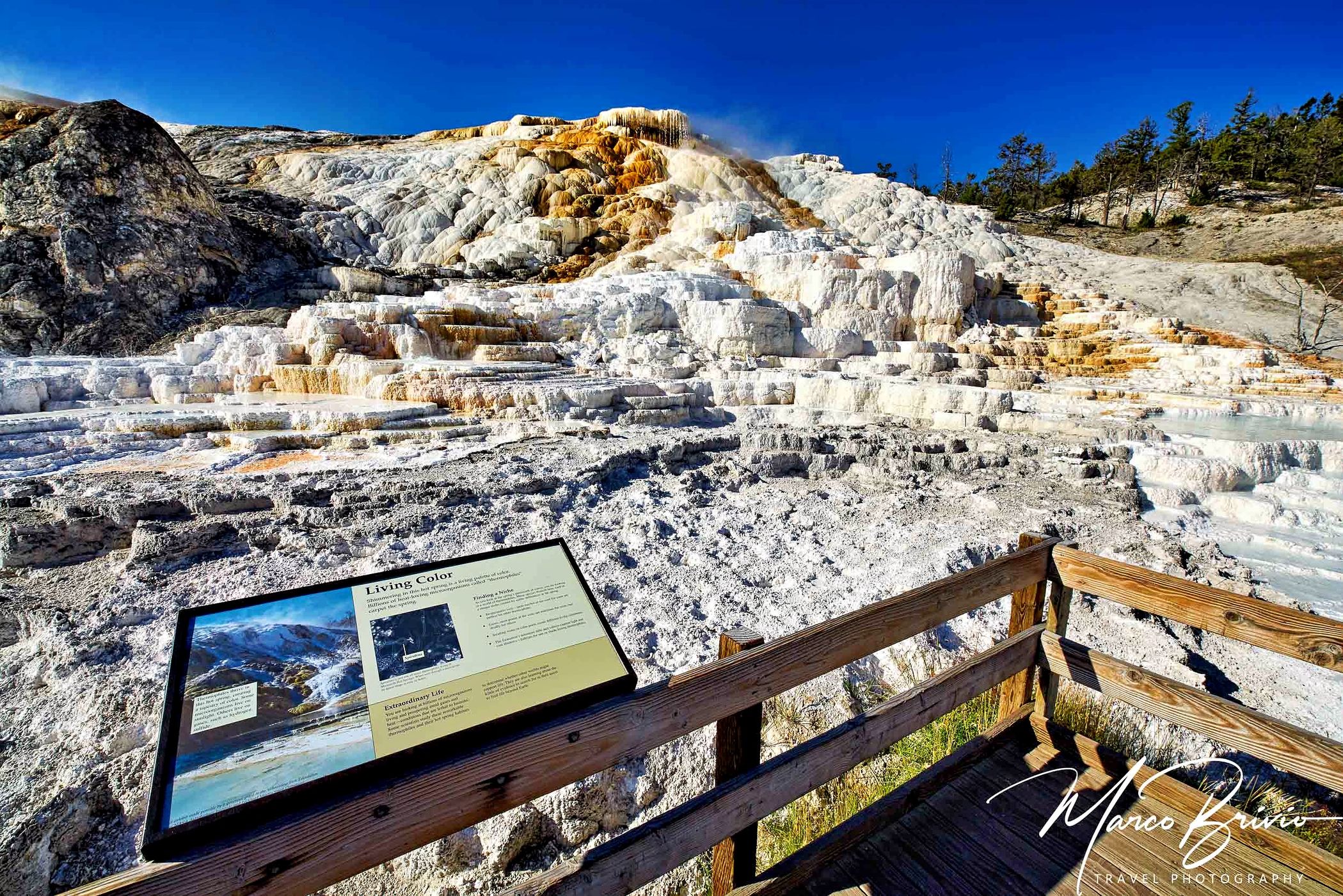 Yellowstone - Devils Thumb - Palette Spring, USA