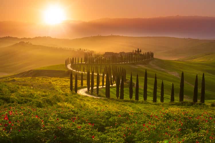 Agriturismo Baccoleno, Asciano