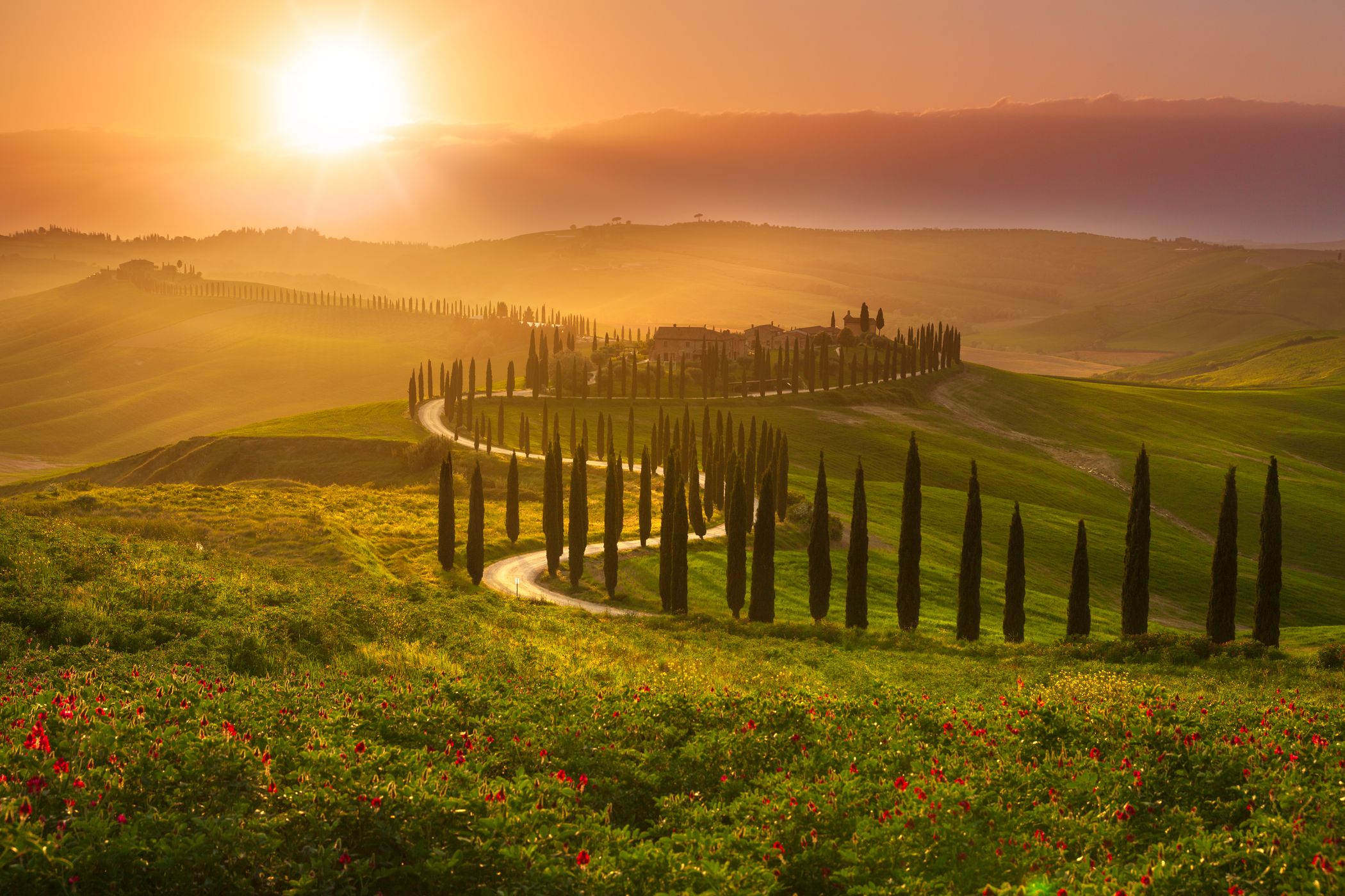 Agriturismo Baccoleno, Asciano, Italy