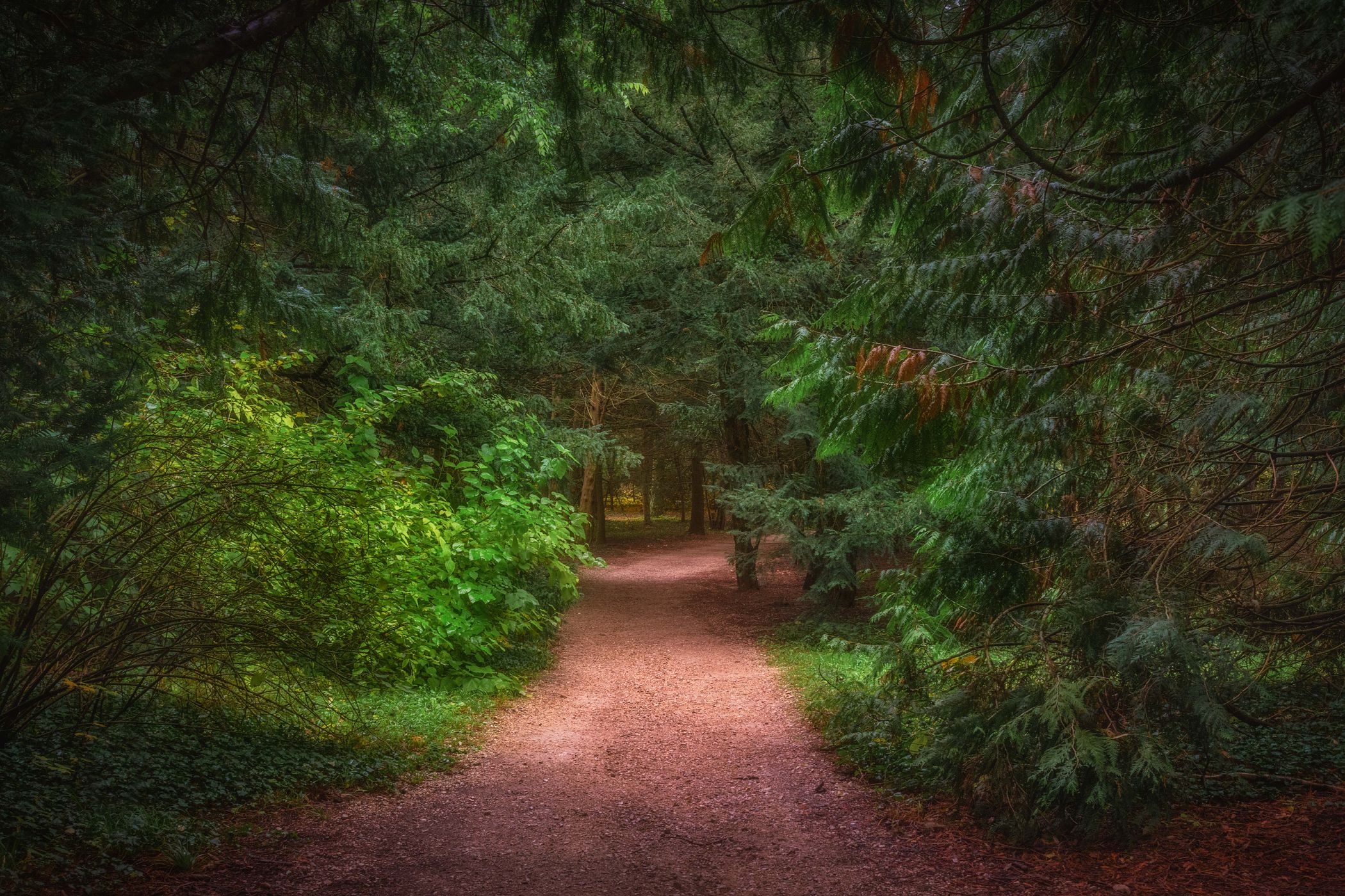 Alcsút Bothanical Garden, Hungary