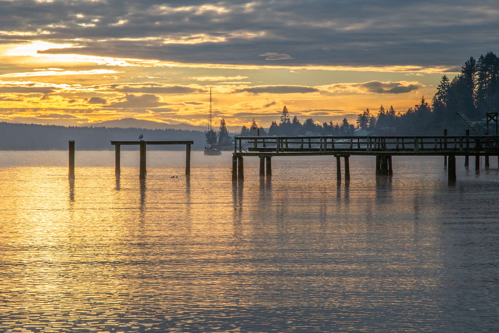 Arness Park on Appletree Cove, USA