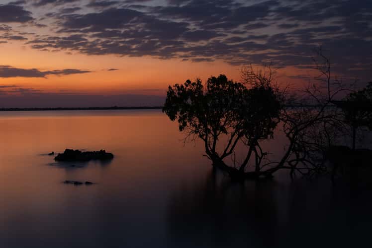 Blue Zebra Island Lodge