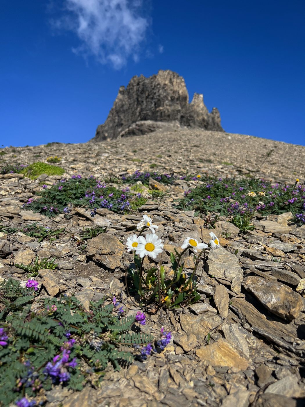 Bockmatti, Engstligenalp, Switzerland