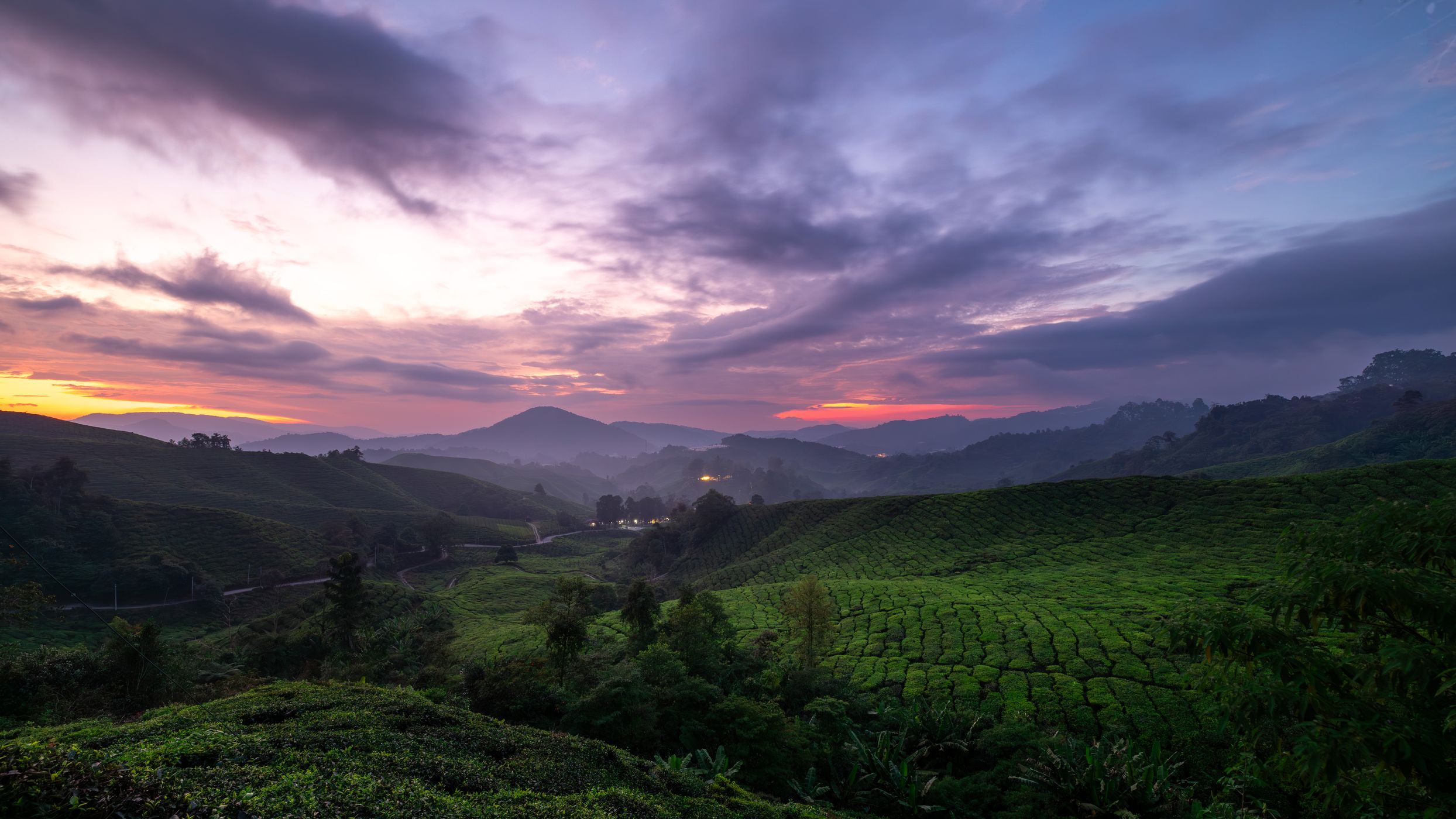 Cameron Highlands, Malaysia