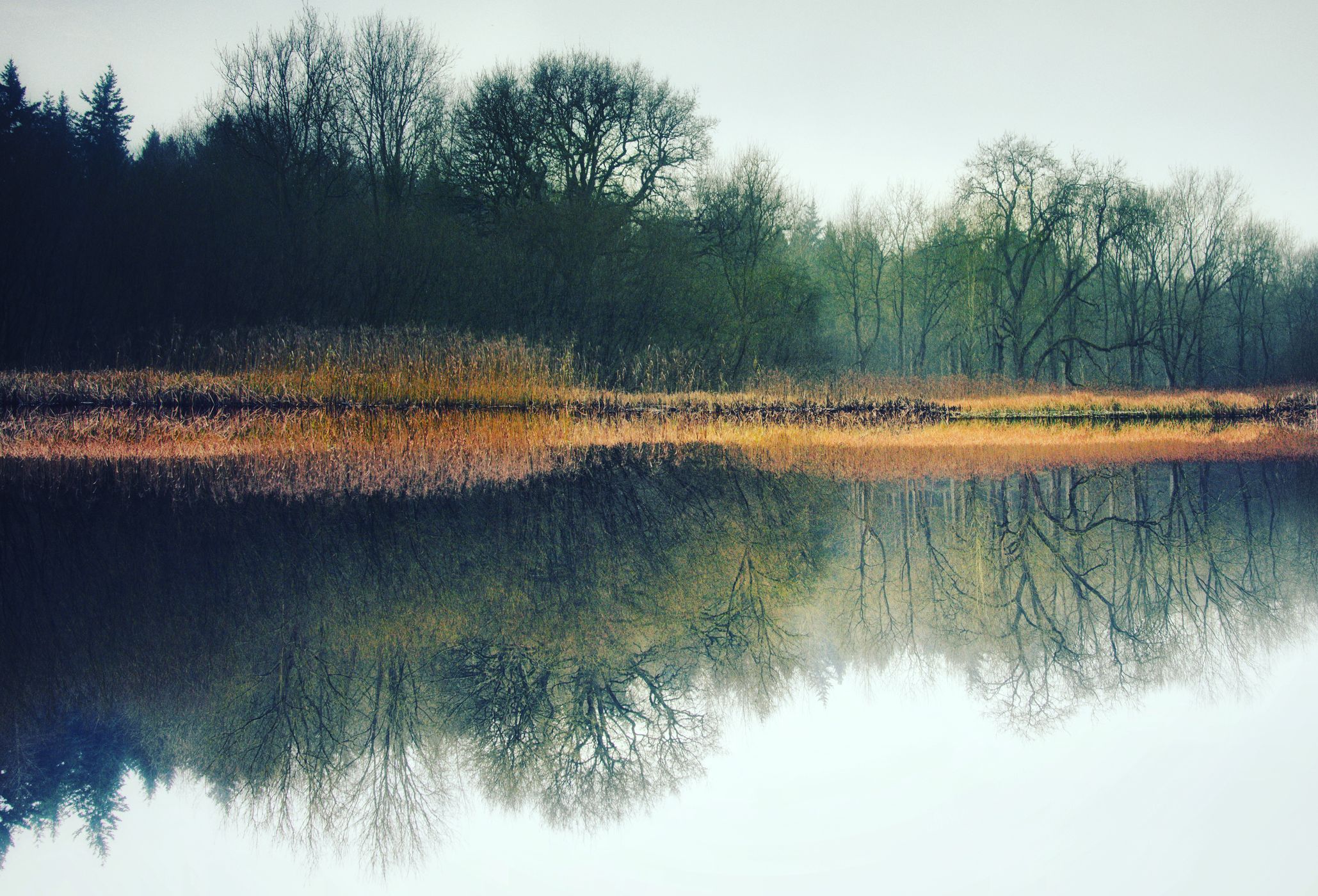 Fairy Lake, Ickworth Park, United Kingdom