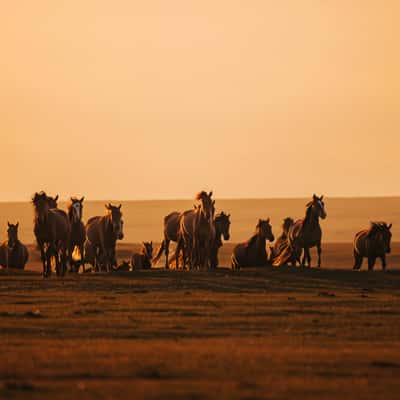 Farms near Lake Song-Kul, Kyrgyz Republic