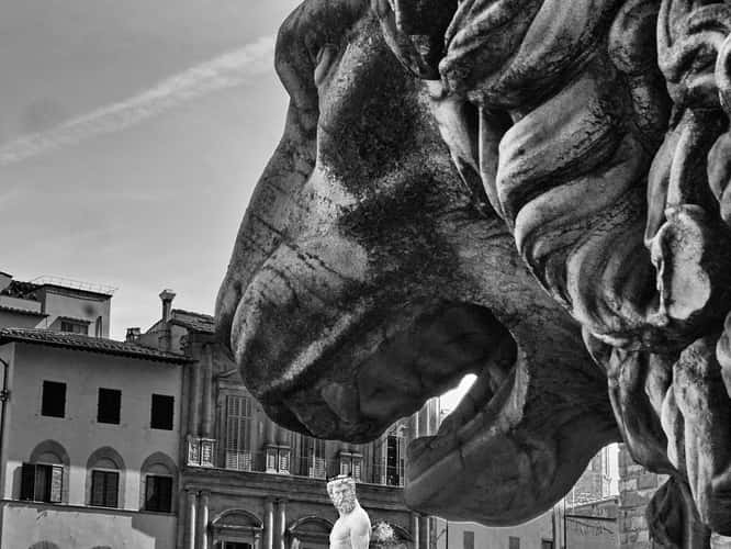 Florence NETTUNO, PIAZZA DELLA SIGNORIA