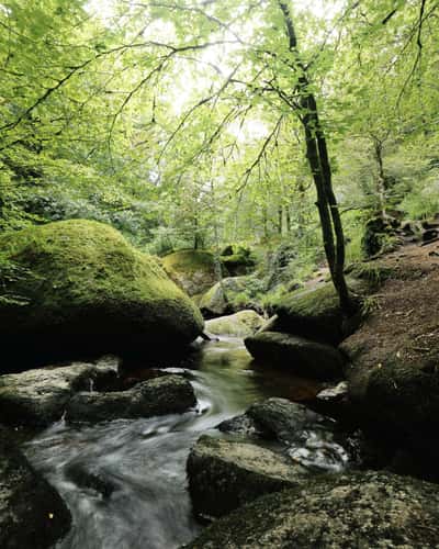 Forest of Huelgoat