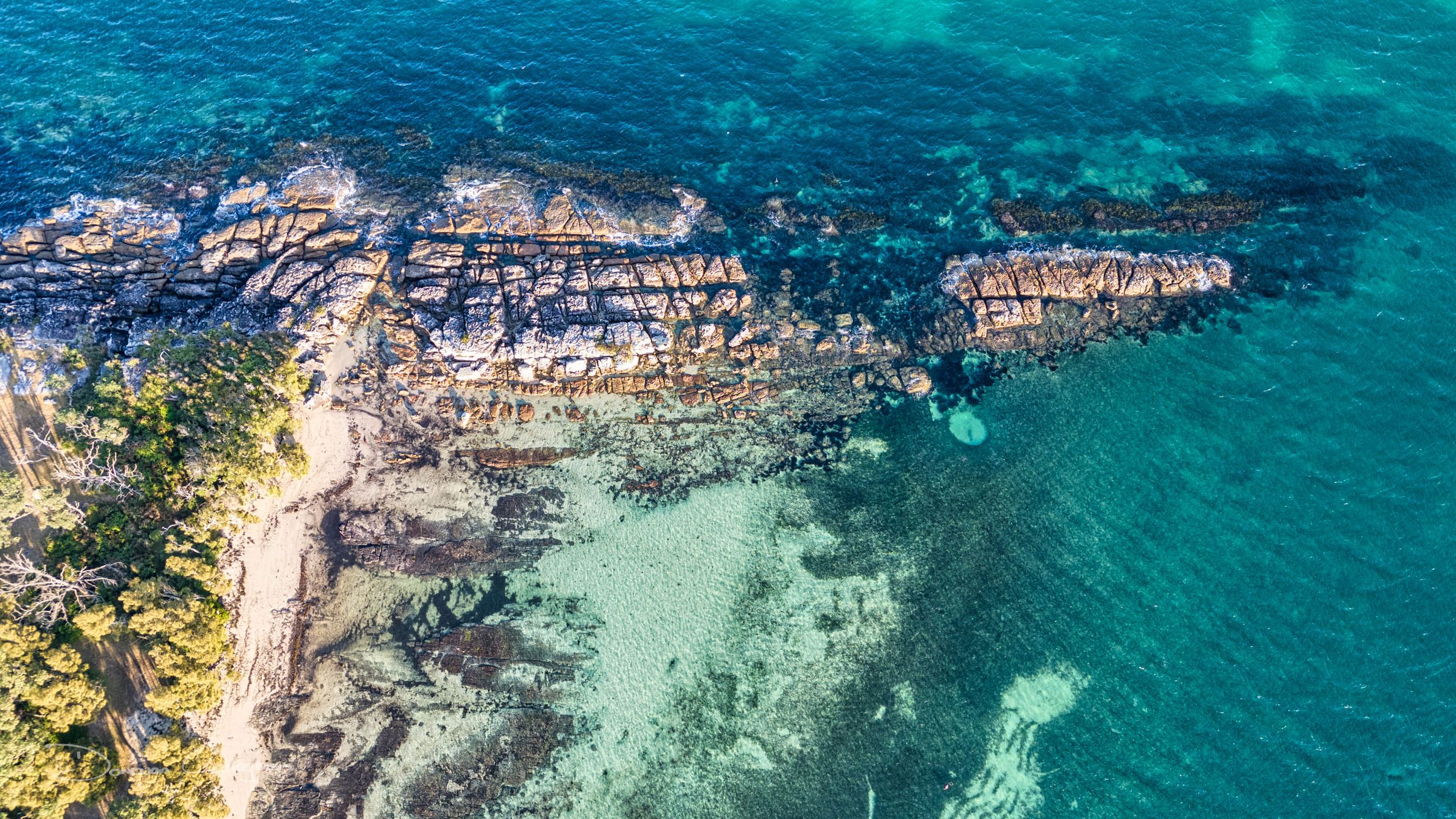 Honey Moon Bay Reef, Jervis Bay, New South Wales, Australia