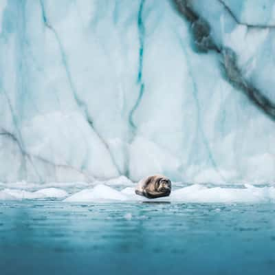 Icewall, Walterhausen Glacier, Greenland